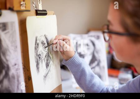 cane, disegno, matita di carbonio, cani Foto Stock