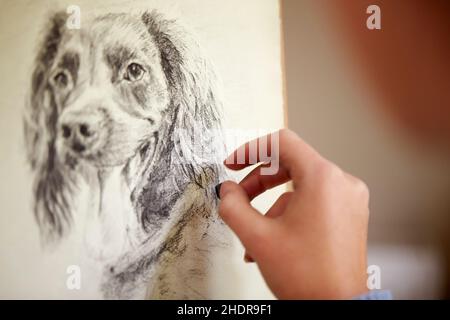 cane, disegno, carbone, cani, carboni Foto Stock