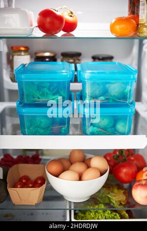 contenitore, deposito, frigorifero, contenitori, immagazzinaggio, frigorifero, frigoriferi Foto Stock