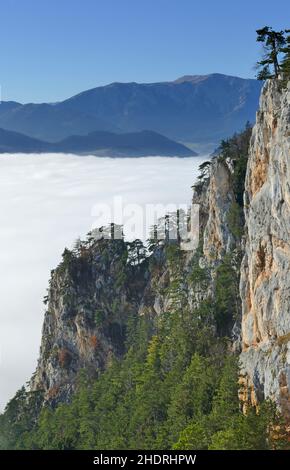 nuvole, schneeberg, nuvola, schneebergs Foto Stock