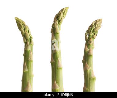 asparagi, asparagi verdi, spare di asparagi, lance di asparagi Foto Stock