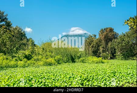 Vulcano Concepción visto da Rio Istian, Isola di Ometepe, Nicaragua Foto Stock