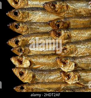 aringa, pesce affumicato, spratto, peperoni, germogli di riga, spratti Foto Stock