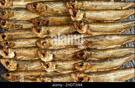 aringa, pesce affumicato, spratto, peperoni, germogli di riga, spratti Foto Stock