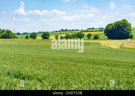 agricoltura, terreno agricolo, campi, agricoltura, terreni agricoli, campo Foto Stock