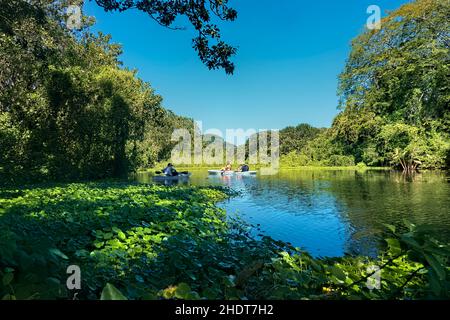 Kayak sul Rio Istian, Isola di Ometepe, Nicaragua Foto Stock