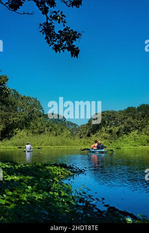 Kayak sul Rio Istian, Isola di Ometepe, Nicaragua Foto Stock