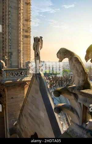 angelo, scultura, stile gotico, notre dame, chimera, angeli, sculture, stili gotici, notre dames, chimere Foto Stock