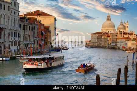 venezia, canal grande, vaporetto, venices, vaporetti Foto Stock