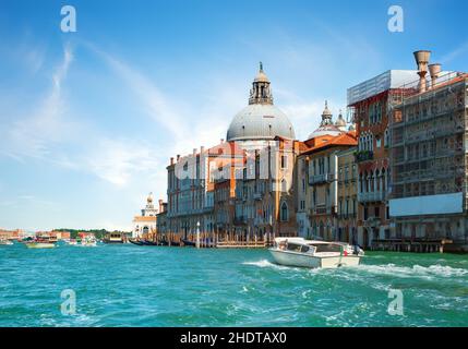 venezia, santa maria della salute, vaporetto, venices, santa maria della salute, vaporetti Foto Stock