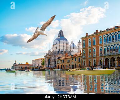 venezia, canal grande, venices Foto Stock