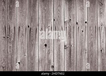 pioli di legno, pioli di legno, alghe, pioli di legno Foto Stock