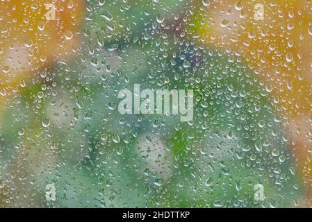 raindrop, vetro della finestra, gocce di pioggia, finestre Foto Stock