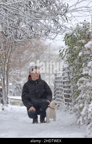 inverno, cane, cammina il cane, inverni, cani, cammina per i cani Foto Stock