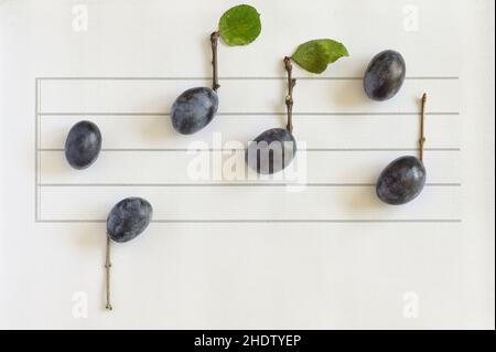 prugna, melodia, notazione, prugne, melodie, notazioni Foto Stock