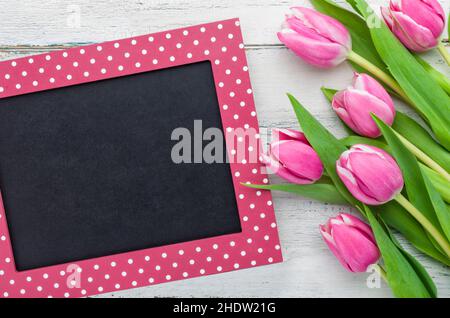 tulipano, giorno delle madri, scudo, tulipani, giorni delle madri, protezioni Foto Stock