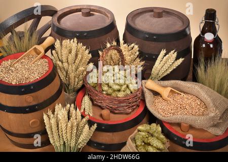 spezie e ingredienti, birra, natura morta, spezie e ingredienti, birre, si sollevano ancora Foto Stock