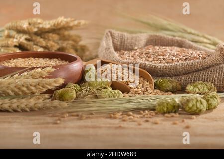 grano, grano, orzo, luppolo, grani, wheats, barleys, luppolo Foto Stock