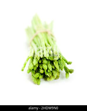 asparagi, asparagi verdi, punte di asparagi, spare di asparagi, lance di asparagi, teste di asparagi, punte di asparagi Foto Stock