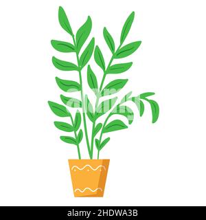 Collezione di piante in vaso. Piante domestiche. Illustrazione vettoriale disegnata a mano. Set di impianto interno vettoriale isolato su bianco. Illustrazione Vettoriale