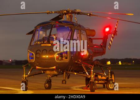 Navy Wings Heritage Flight Westland Wasp XT420, Foto Stock