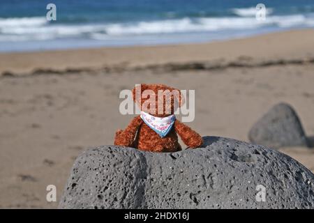 spiaggia, vacanza, solitario, orsacchiotto, spiagge, mare, vacanze, solelie, orsacchiotti Foto Stock