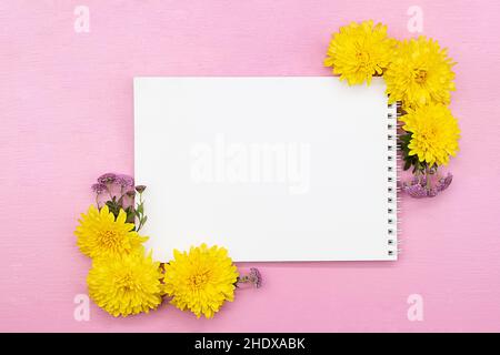 Blocco note, spazio per note, foglio bianco con crisantemi gialli e lilla, cornice di fiori su sfondo rosa. Vacanze, Primavera, Estate, Autunno, Birt Foto Stock