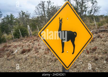 cartello segnaletico, fauna selvatica, ruta nacional 40, cartello segnaletico, selvatico, animali selvatici, vita selvaggia Foto Stock