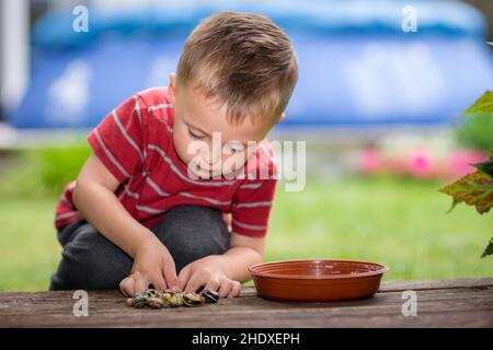 ragazzo, raccolta, lumaca, ragazzi, lumache Foto Stock