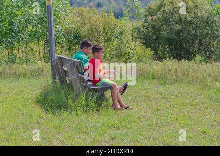 Due giovani fratelli esplorano un'area di fiducia nella terra a Door County Wisconsin in un pomeriggio estivo soleggiato. Foto Stock