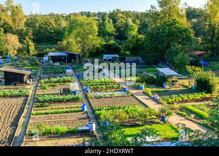 Francia, Loira, Roanne, i giardini dei lavoratori del Rivage su un levee del fiume Loira // Francia, Loira (42), Roanne, les jardins ouvriers du Rivage sur Foto Stock