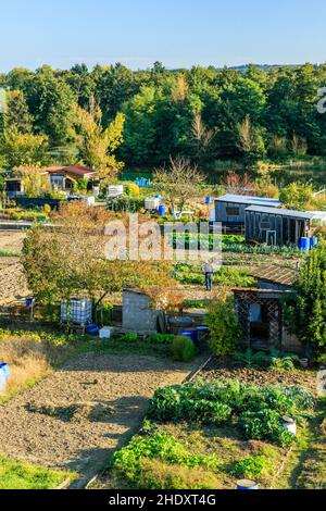 Francia, Loira, Roanne, i giardini dei lavoratori del Rivage su un levee del fiume Loira // Francia, Loira (42), Roanne, les jardins ouvriers du Rivage sur Foto Stock