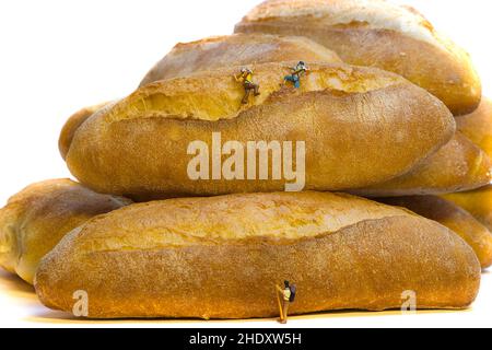 Una squadra di arrampicata in miniatura salta pane italiano fresco e croccante Foto Stock