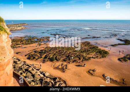 Sidmouth Bay. La vista dai Giardini di Connaught. Foto Stock