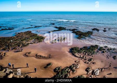 Sidmouth Bay. La vista dai Giardini di Connaught. Foto Stock