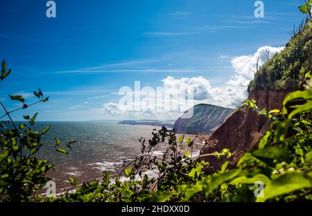 Sidmouth Bay. La vista dai Giardini di Connaught. Foto Stock