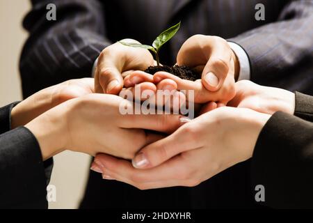 tenere, proteggere, sostenere, proteggere, sostenere, supporto, supporti Foto Stock