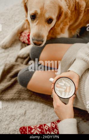 Ragazza con cacao e cane Golden Retriever Foto Stock