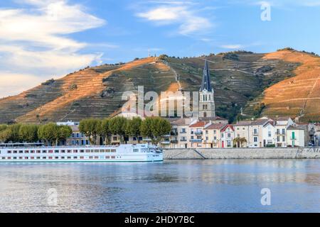 Francia, Drome, Valle del Rodano, Tain l'Hermitage, villaggio, Vigna AOC Hermitage e crociera in casa galleggiante sul fiume Rodano // Francia, Drôme (26), vallée d Foto Stock