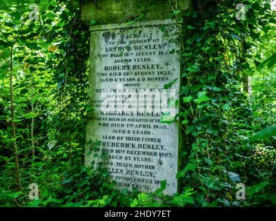 Tributo Headstone memoriale della famiglia Besley, nascosto nel verde sottobosco coperto di Ivy, preso al cimitero di Abney Park, 21st di maggio 2017 Foto Stock