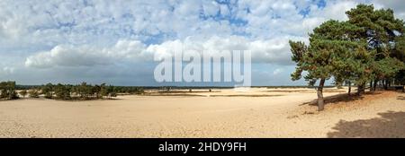 Dune di sabbia in movimento Foto Stock