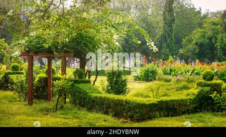 Vista sulla strada dei lussureggianti e verdi giardini botanici nel quartiere francese di Pondicherry, India. Foto Stock