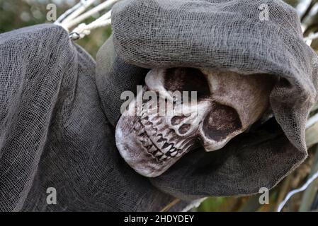 scheletro, cranio, spooky, pannolino di graniglia, scheletri, teschi, spookies, grim reapers Foto Stock