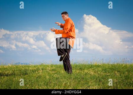 equilibrio, arti marziali, qigong, equilibrii, sport combattivi, qigong Foto Stock