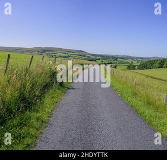 Una corsia tranquilla a Bowland, Lancashire, Regno Unito. Foto Stock