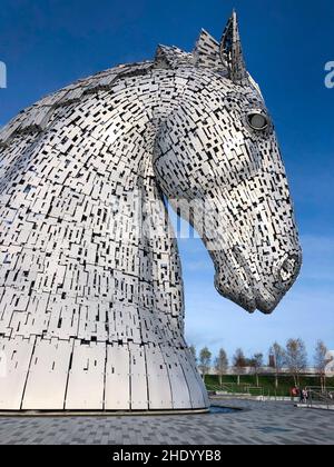 I Kelpies a Falkirk, Scozia. Una delle due sculture a testa di cavallo alte 30m (98ft) raffiguranti i kelpies (acquaviti che cambiano forma). Non si alzano Foto Stock