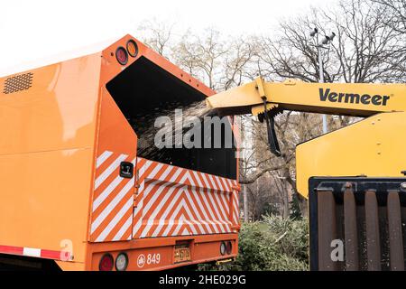 6 gennaio 2022, New York, New York, Stati Uniti: Alberi di Natale mulled durante i Parchi di NYC e DSNY in anteprima il prossimo fine settimana di chipping mulchfest al parco di Washington Square. Liam Kavanagh, commissario responsabile del dipartimento di igiene di NYC, Edward Grayson, presidente del distretto di Manhattan Mark Levine, senatore di Stato Brad Hoylman, membro del Consiglio Christopher Marte, membro del Consiglio Erik Bottcher erano presenti durante l'anteprima. (Credit Image: © Lev Radin/Pacific Press via ZUMA Press Wire) Foto Stock