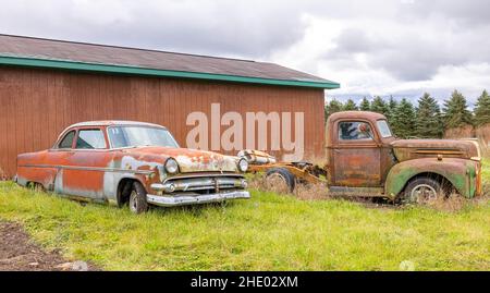 Branch Township, Michigan, USA - 22 ottobre 2021: Auto classiche arrugginite lungo la Masten Road Foto Stock