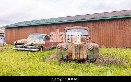 Branch Township, Michigan, USA - 22 ottobre 2021: Auto classiche arrugginite lungo la Masten Road Foto Stock