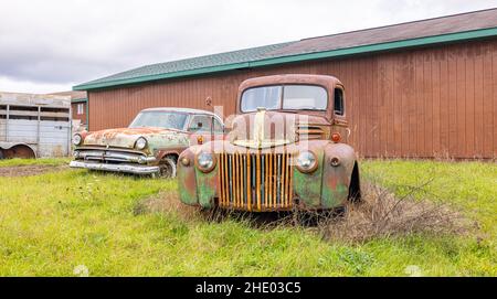 Branch Township, Michigan, USA - 22 ottobre 2021: Auto classiche arrugginite lungo la Masten Road Foto Stock